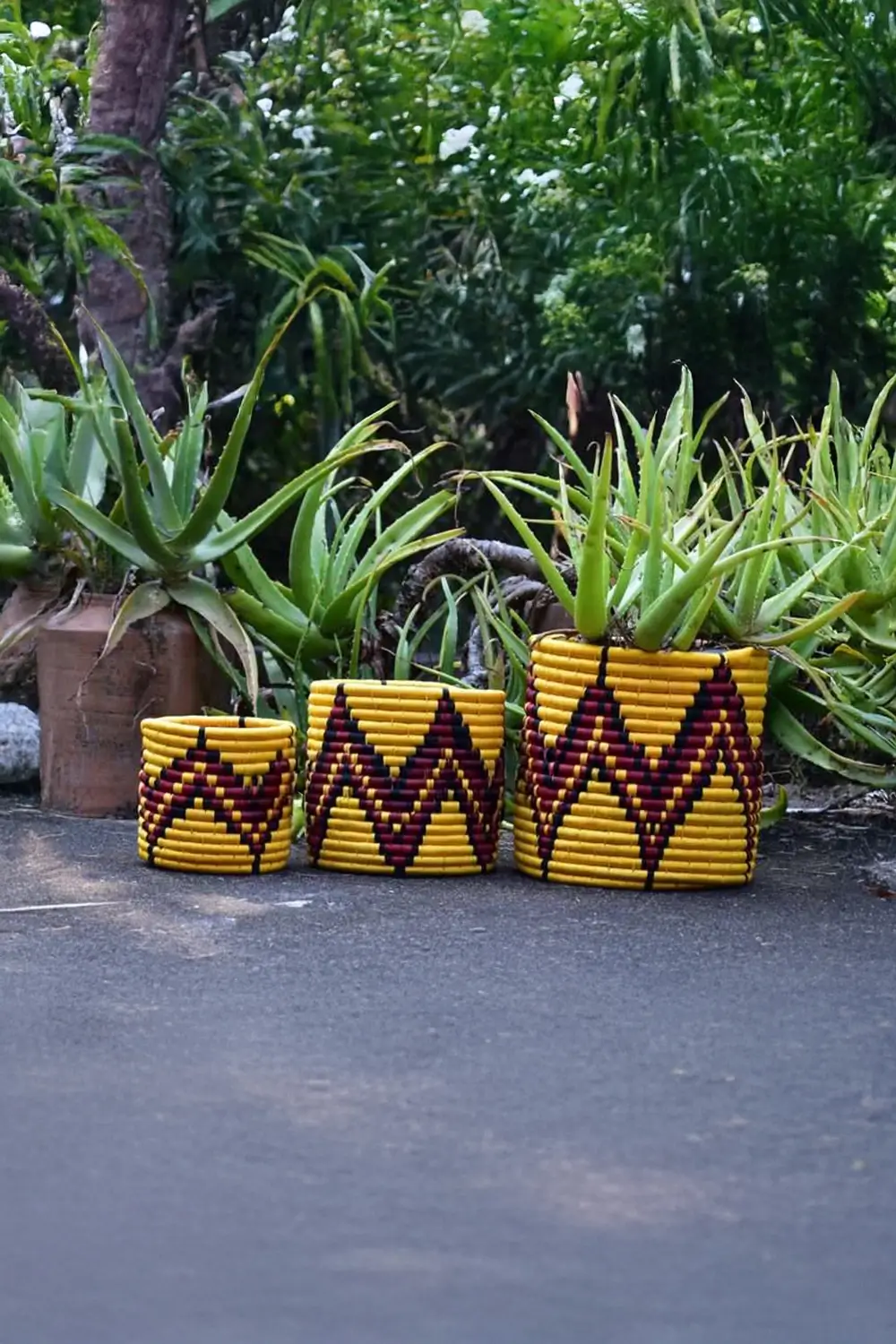 Sabai Grass Planter